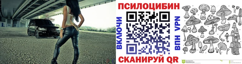 блэк спрут зеркало  как найти закладки  Дубна  Псилоцибиновые грибы MAGIC MUSHROOMS 