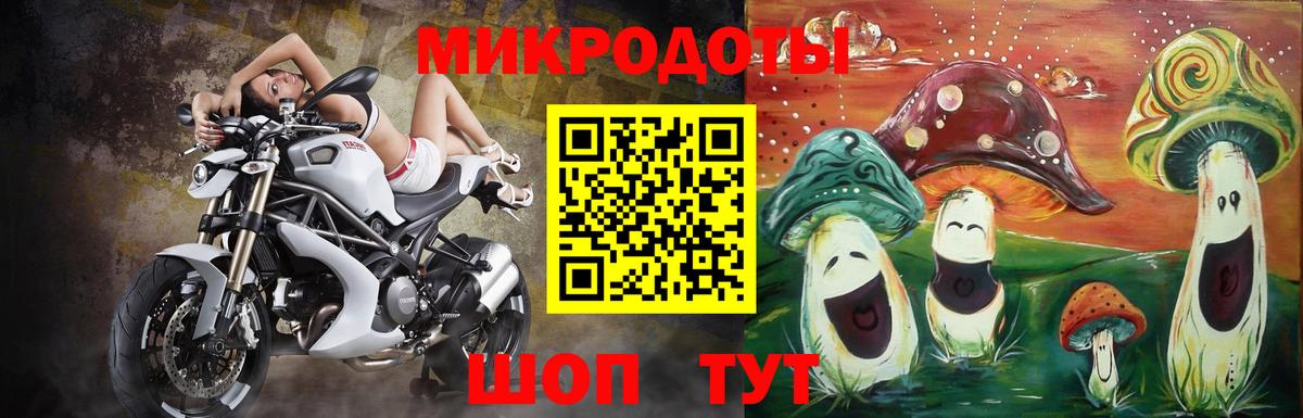 Дубна  Псилоцибиновые грибы Cubensis  Вход с VPN 